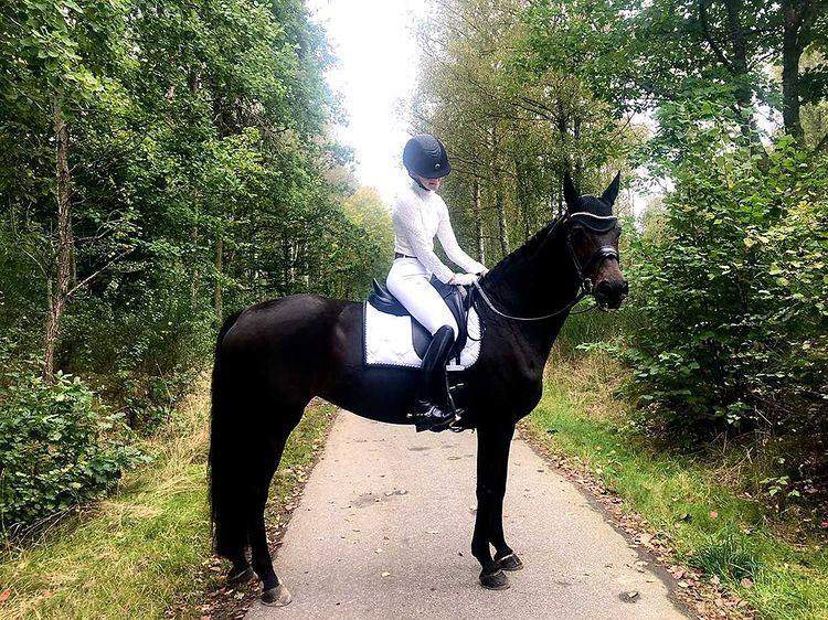 teamet/tindra-