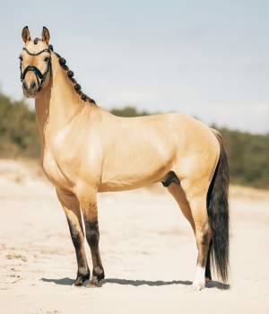 hastar/1683273870_photo-2023-05-02-17-18-01