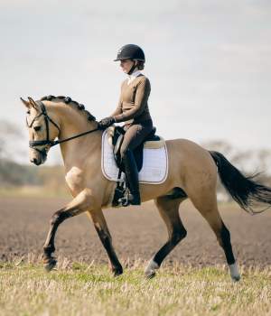 hastar/1683273870_photo-2023-05-02-17-18-02-2