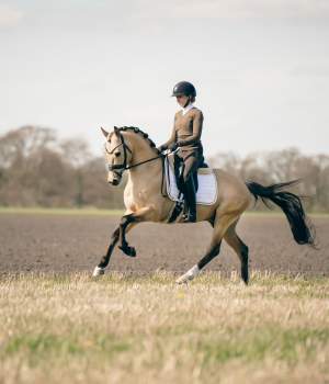 hastar/1683273870_photo-2023-05-02-17-18-02