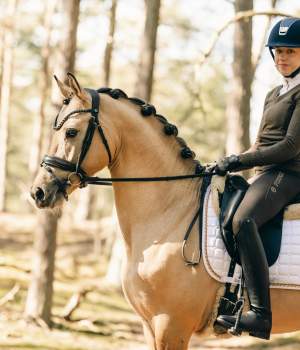 hastar/1683273870_photo-2023-05-02-17-18-03