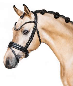 hastar/photo-2023-05-02-17-18-00